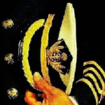 Profile picture of Ruslan Doronin