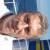 Profile picture of ROBERT PEROVIC
